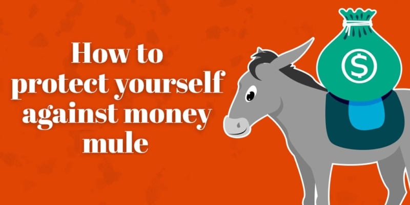 Money Mule Awareness - AML COMPLIANCE CORPORATION